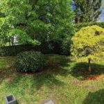 Panoramaansicht