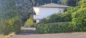Seitlicher Gartenzugang