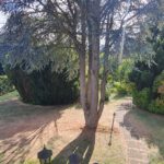 Aussicht Garten