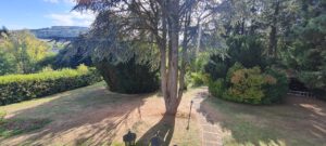 Aussicht Garten